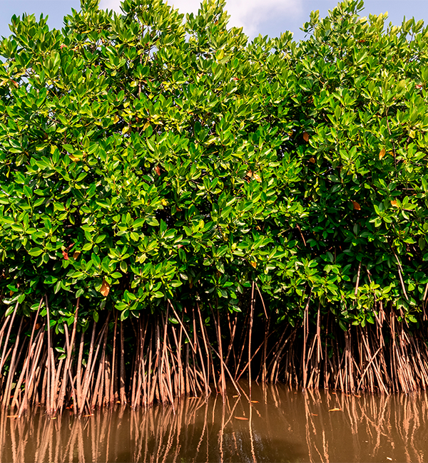 Hábitat header image