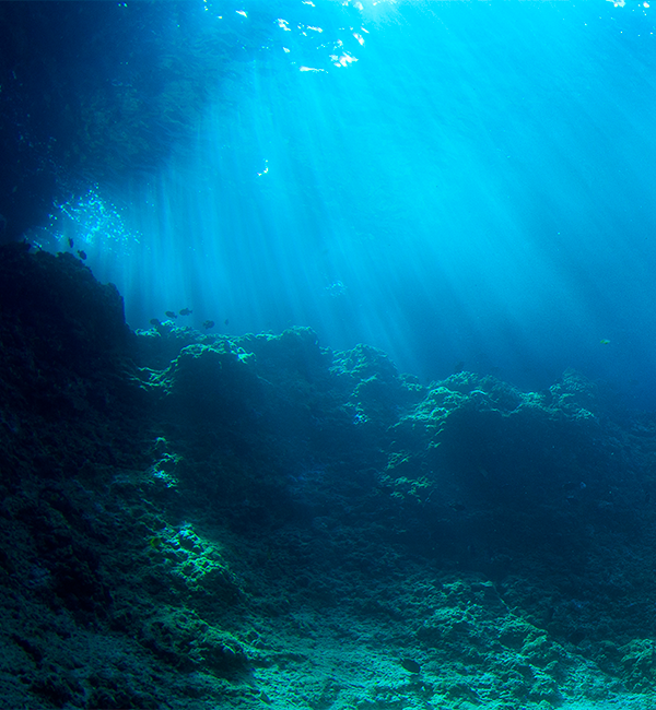 Hábitat header image
