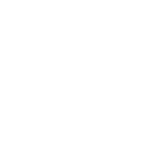 Lenguaje icon