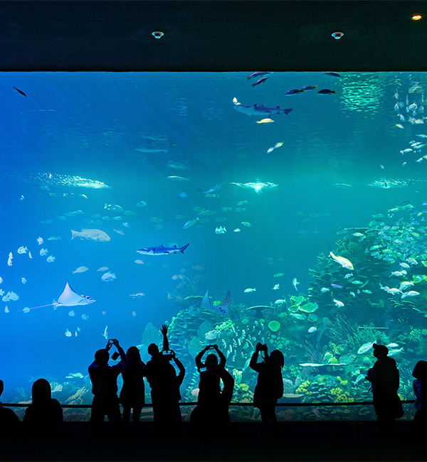 Gran Acuario Mazatlán Render