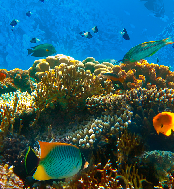 Hábitat header image