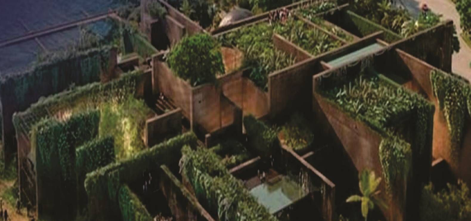 Roof Garden